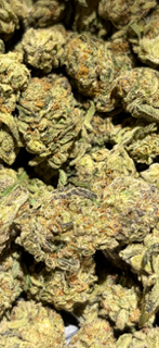 Platinum Lemon Gushers - Light Assist/Green house TheGoodyCorner.com