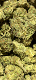Oreoz -  INDOOR TheGoodyCorner.com