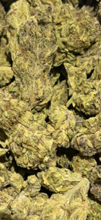 NEW - (GDP) Granddaddy purple - INDOOR TheGoodyCorner.com