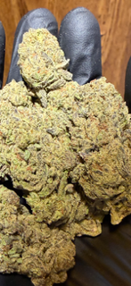Groovy Grapes - Light Assist TheGoodyCorner.com