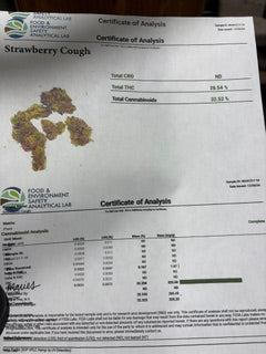 Strawberry Cough - Light Asst TheGoodyCorner.com