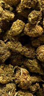 NEW  8-11-26- Gelato TheGoodyCorner.com