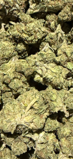 Psyop -Hybrid TheGoodyCorner.com