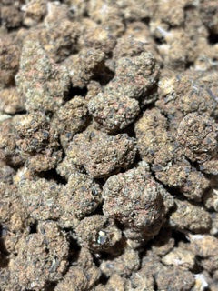 Black Amber 26% TheGoodyCorner.com