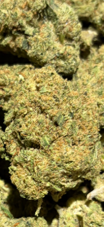 Lemon Gas Mask TheGoodyCorner.com