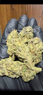NEW - (GDP) Granddaddy purple - INDOOR TheGoodyCorner.com