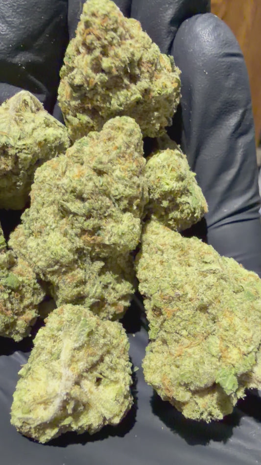 Strawberry Cough - Light Asst