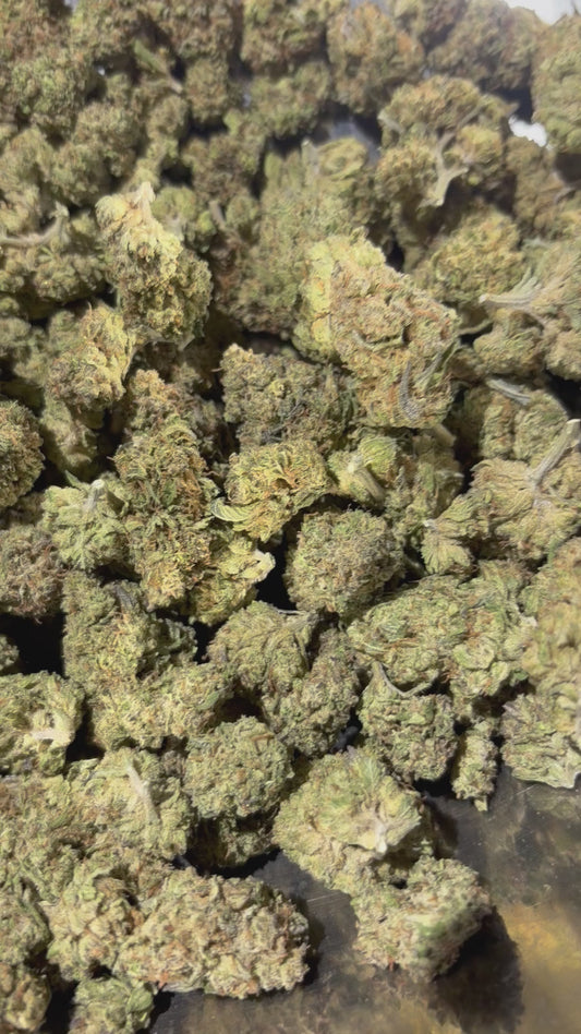 Candy Fumes - Indoor